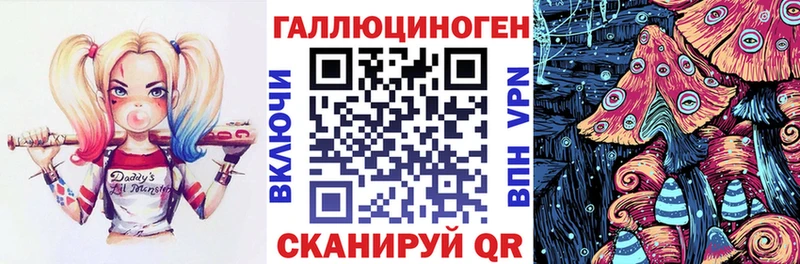 хочу наркоту Ак-Довурак Псилоцибиновые грибы ЛСД